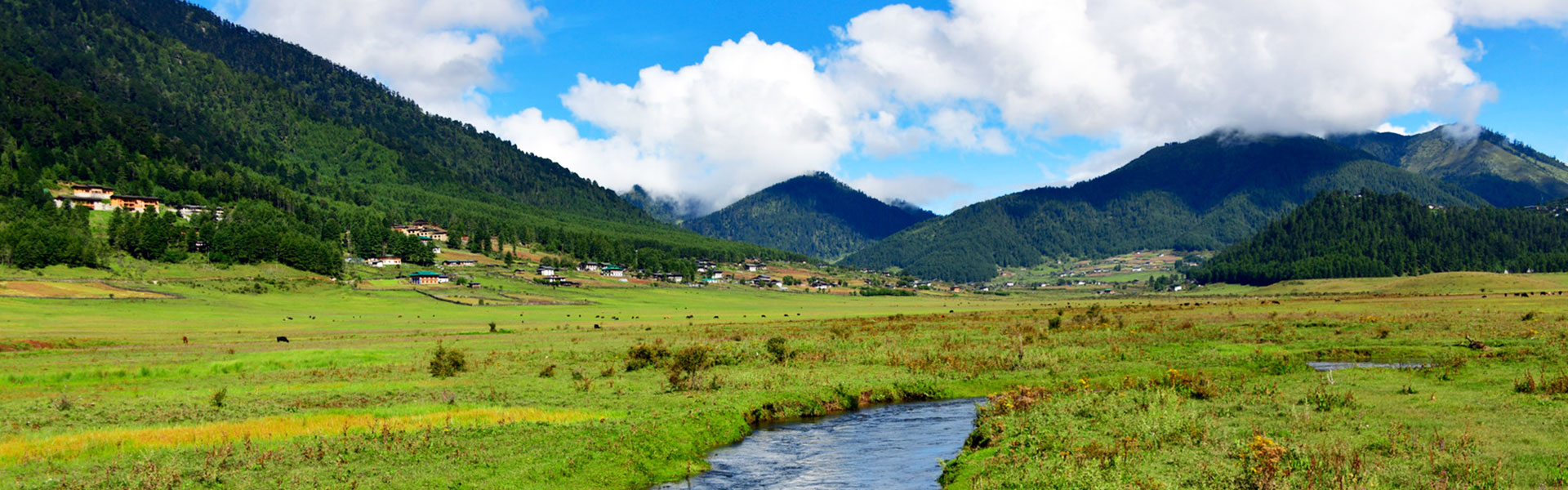 Druk Path Trek - 08 Nights / 09 Days